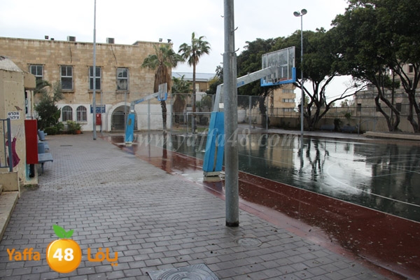 Idrab yaffa abo3azi (20).jpg